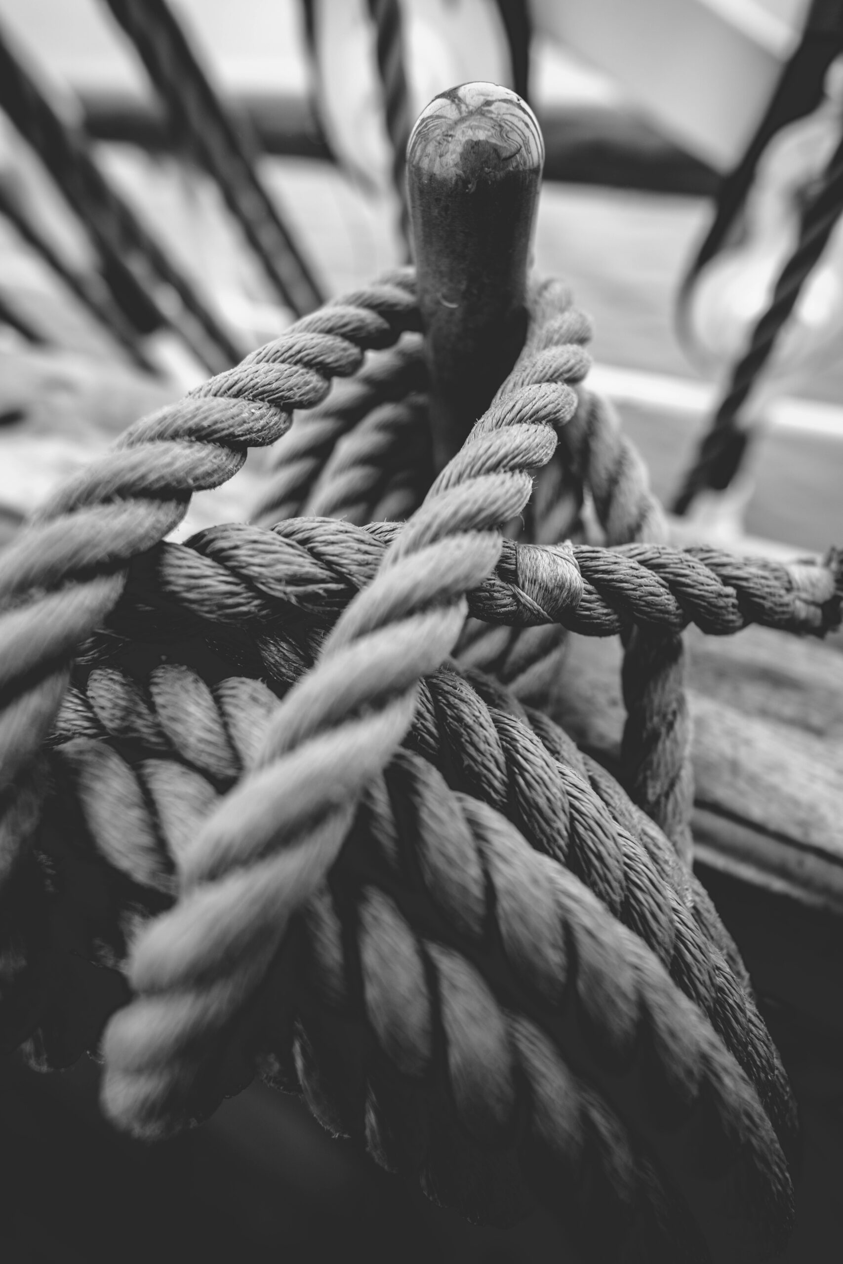 MBaratella.2025.04.27-0021