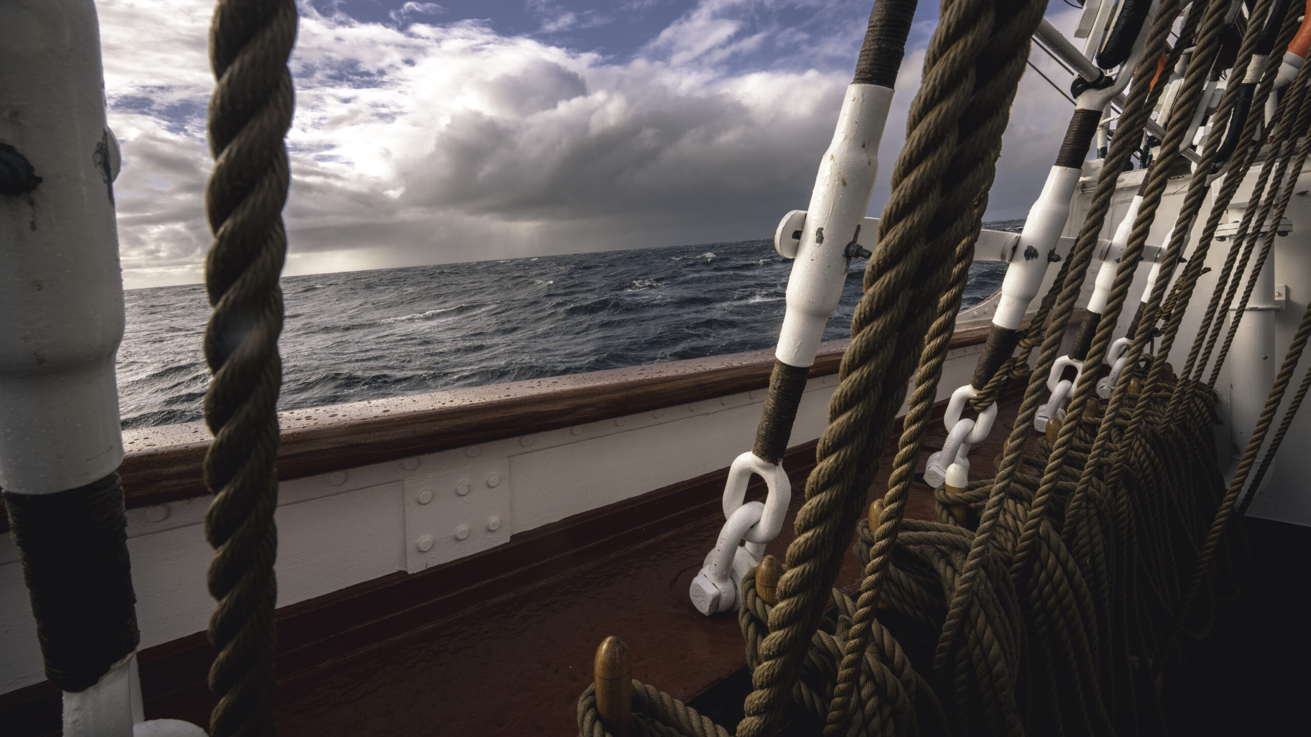 MBaratella.2025.05.09-0093