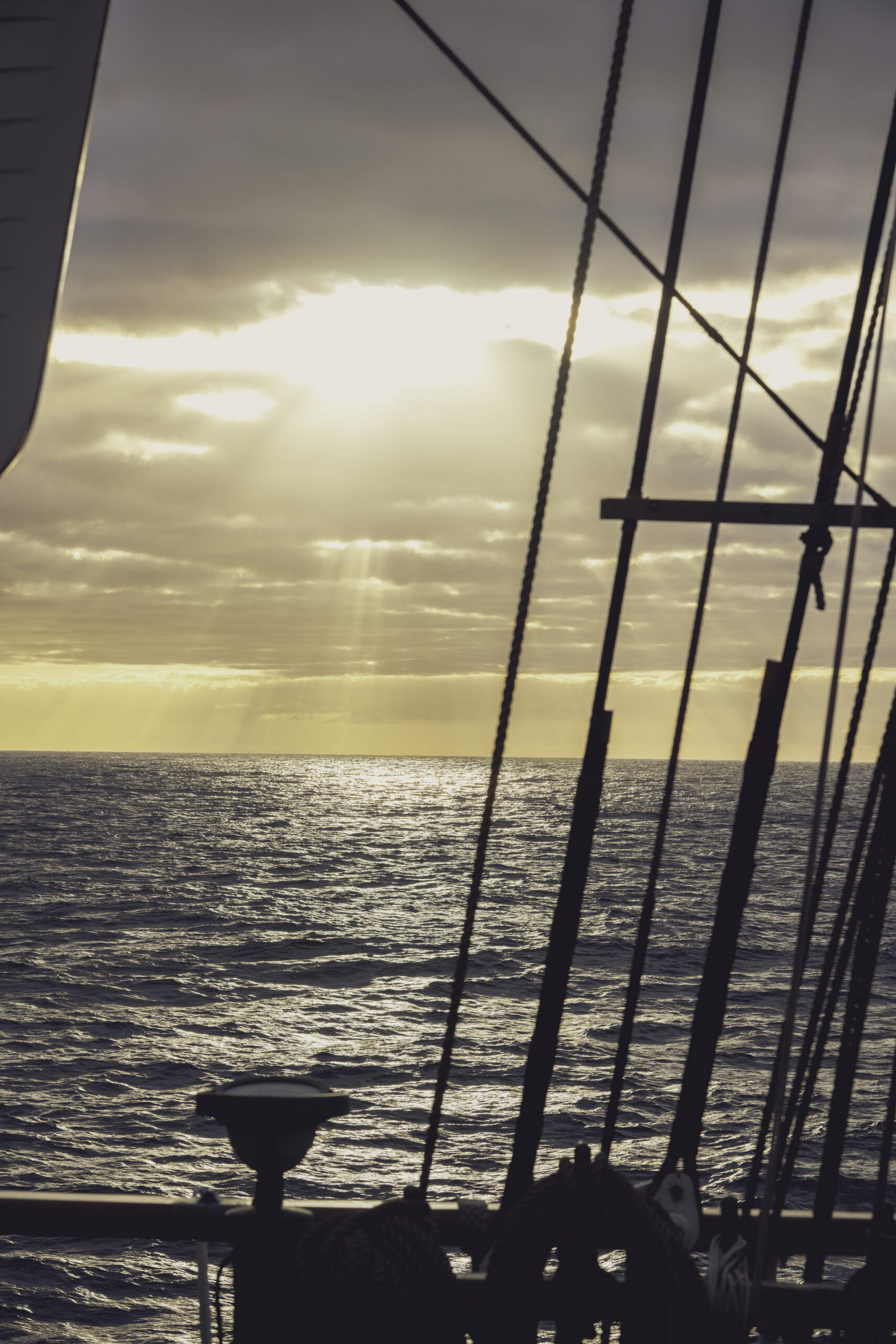 MBaratella.2025.05.12-0001