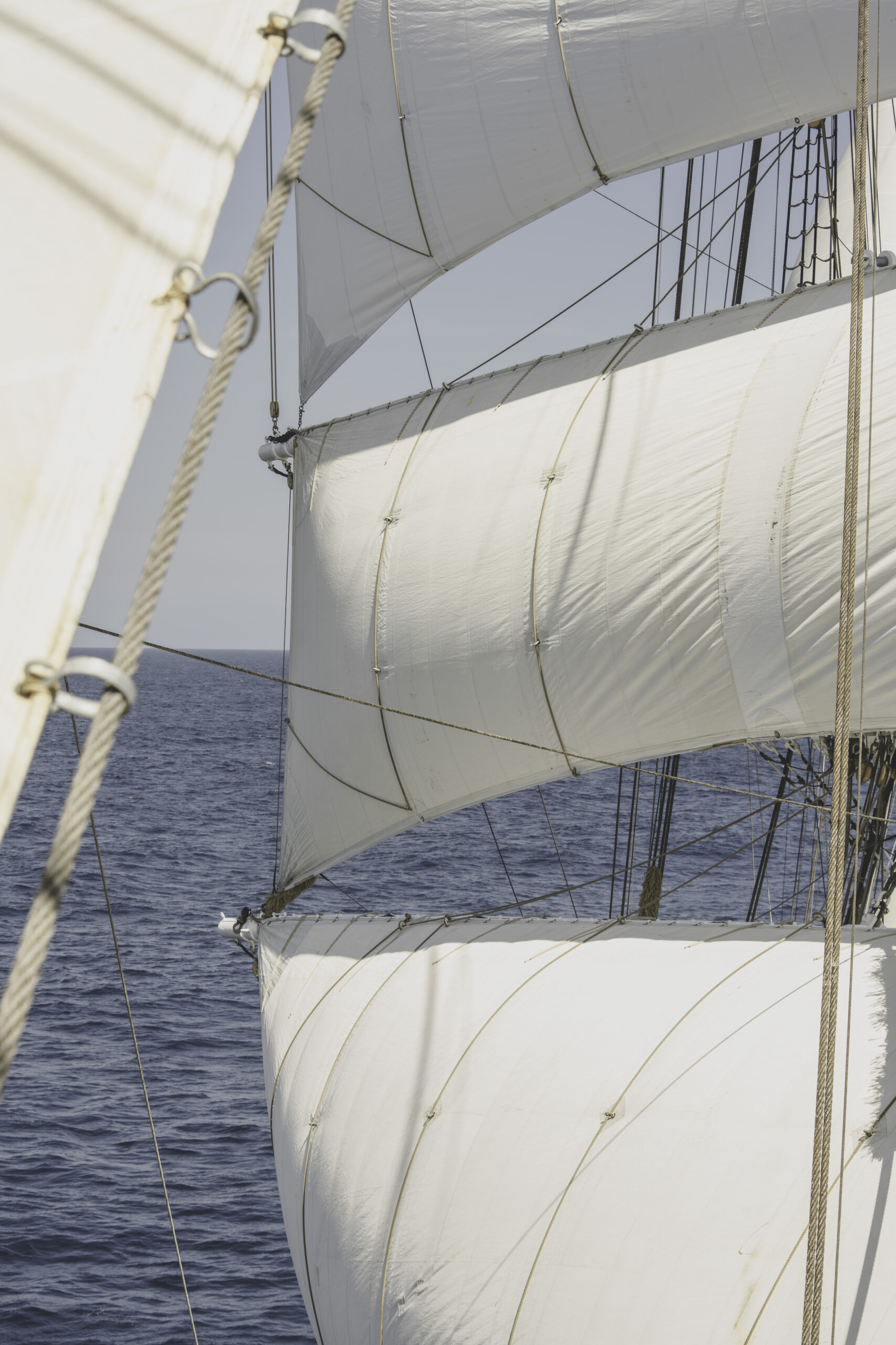 MBaratella.2025.05.13-0018