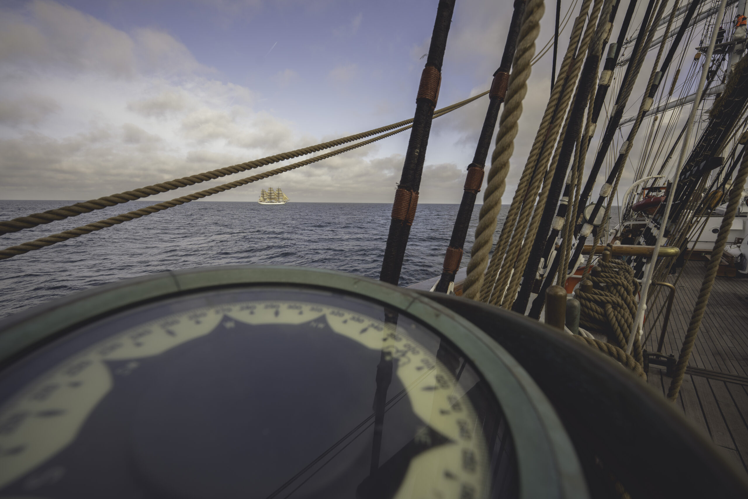 MBaratella.2025.05.15-0027