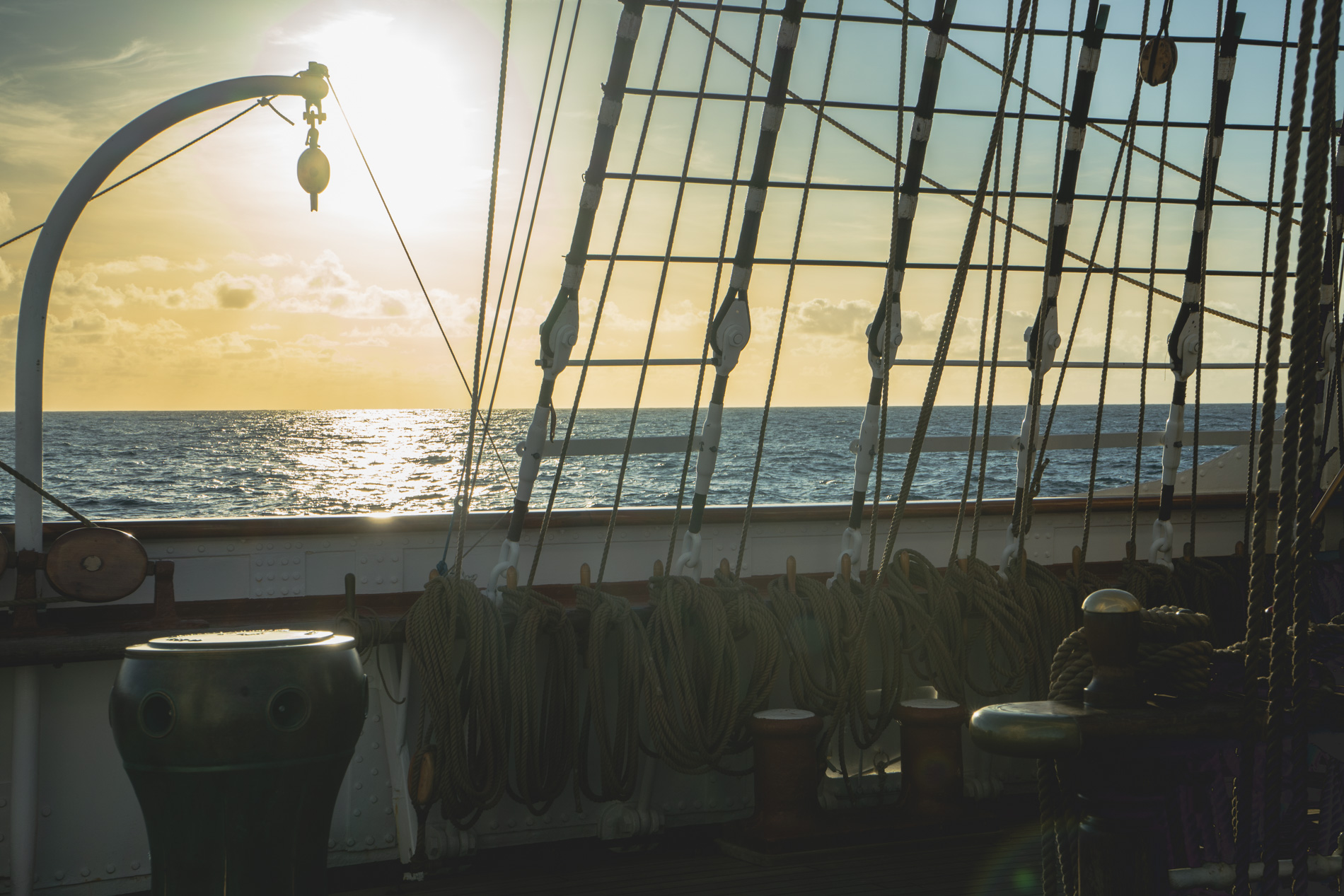 MBaratella.2025.05.20-0042