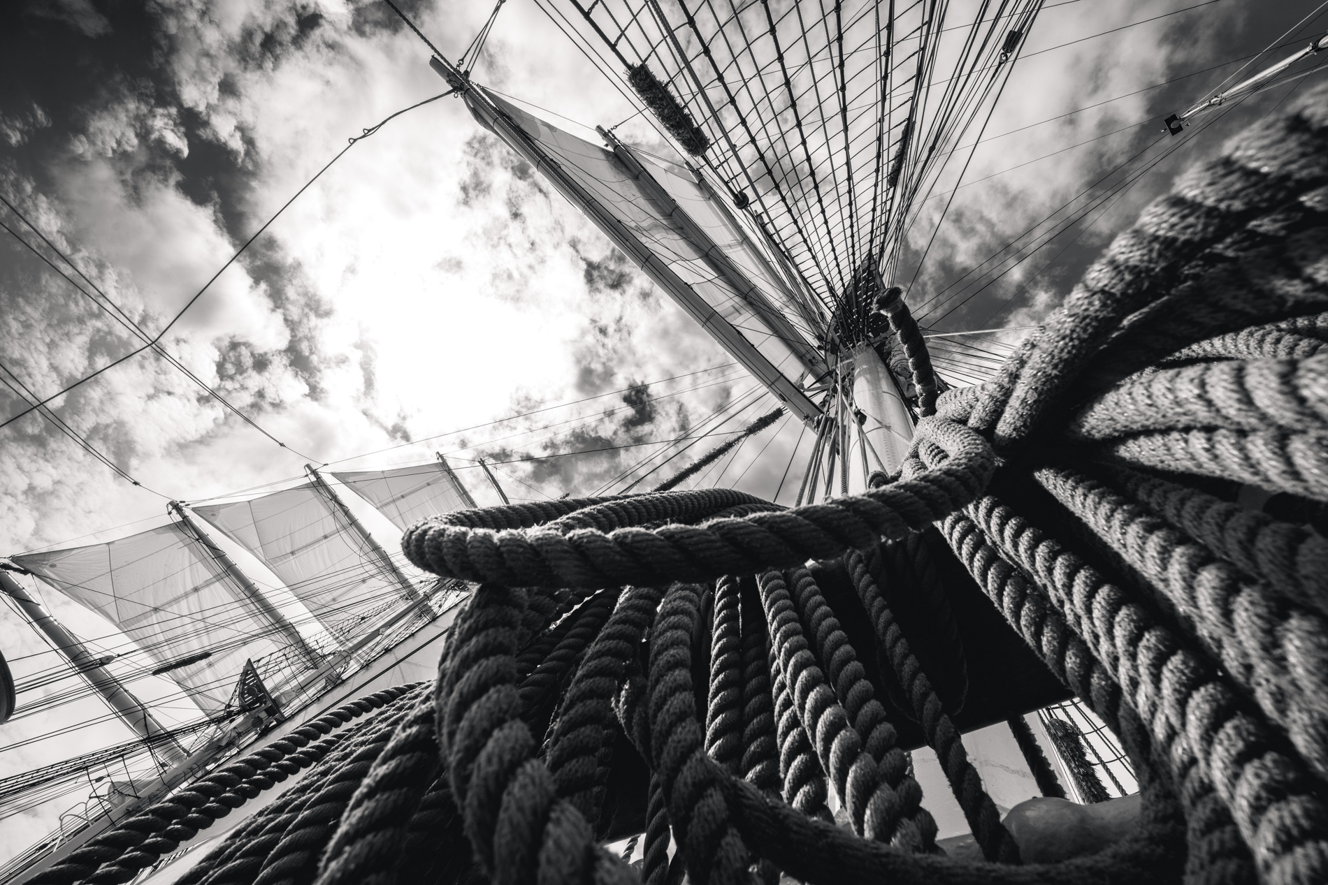 MBaratella.2025.05.21-0017