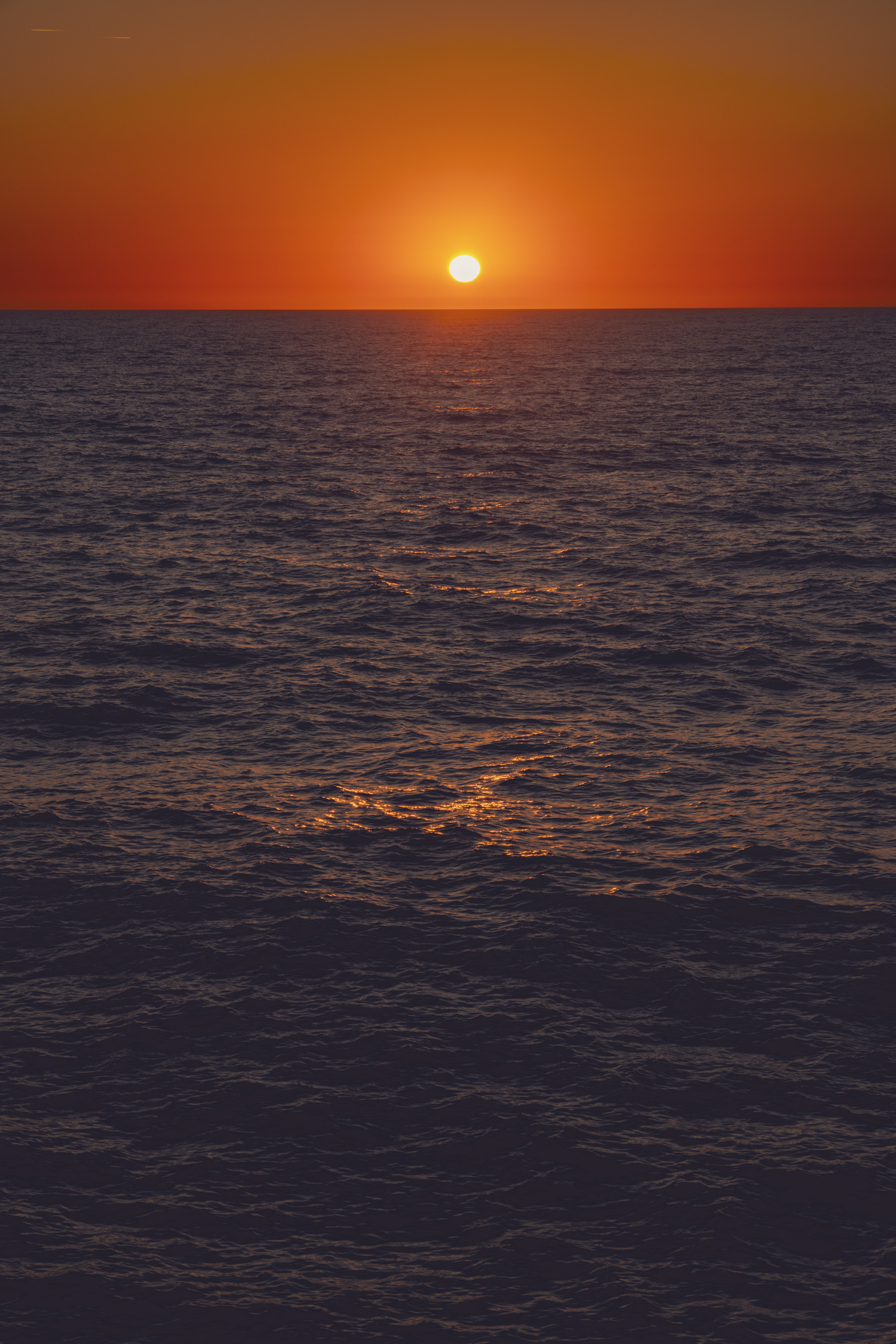 MBaratella.2025.05.26-0031