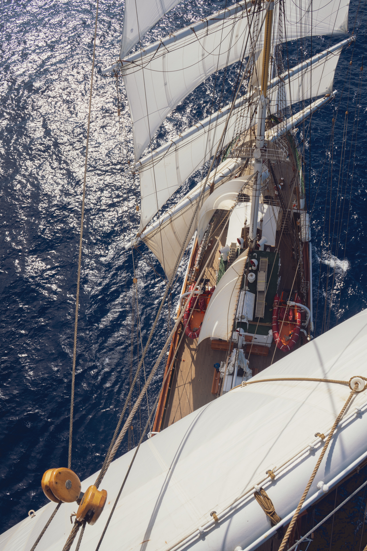 MBaratella.2025.05.27-00030