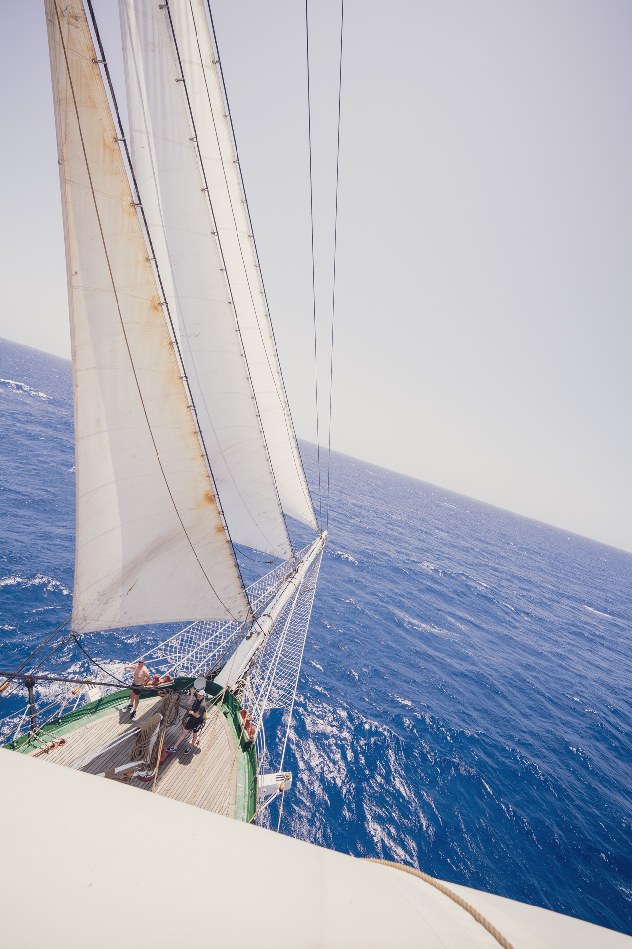 MBaratella.2025.06.16-00019